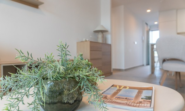 Nieuwbouw Woningen - Penthouse - Playa Flamenca