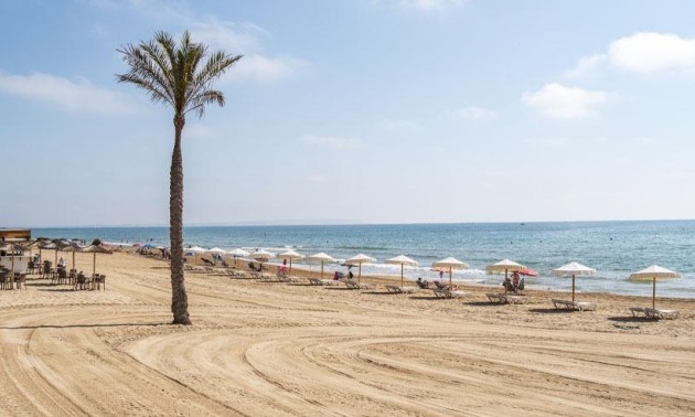 Nouvelle construction - Attique - Guardamar del Segura - Pueblo