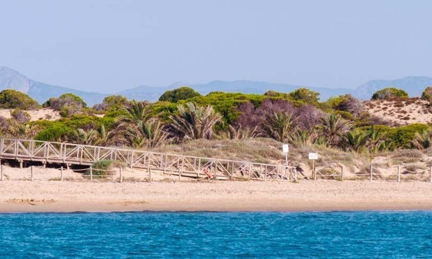 Nouvelle construction - Attique - Guardamar del Segura - Pueblo