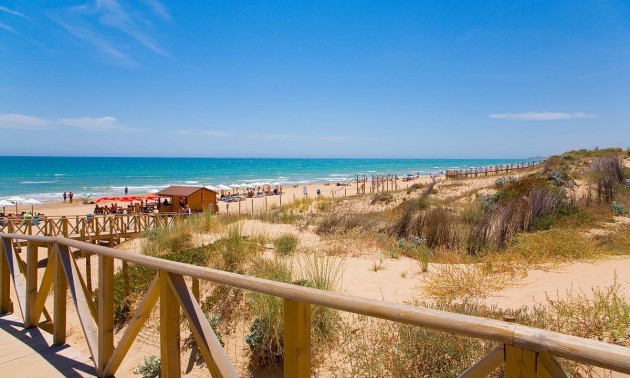 Nouvelle construction - Attique - Guardamar del Segura - Pueblo