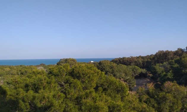 Nouvelle construction - Attique - Guardamar del Segura - Pueblo