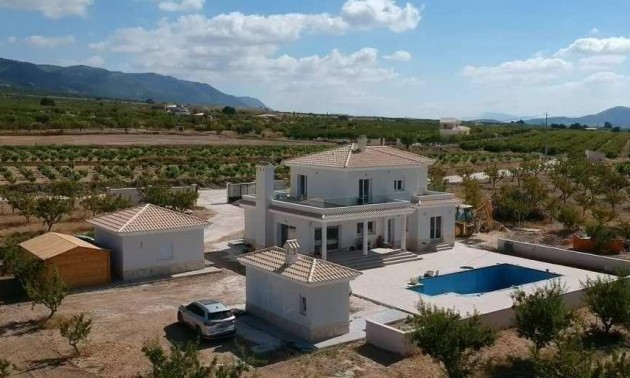 New Build - Villa - Pinoso - Camino Del Prado