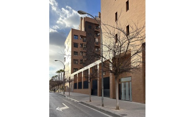 Nouvelle construction - Apartment - Alicante - Carolinas Bajas
