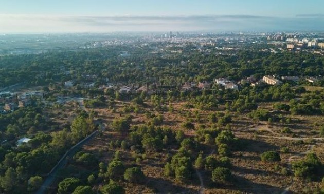 Nouvelle construction - Apartment - Godella - Campolivar