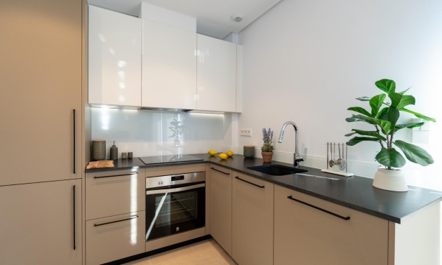 Nouvelle construction - Villa - La Marina - El Pinet