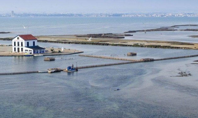 New Build - Villa - San Pedro del Pinatar - Centro