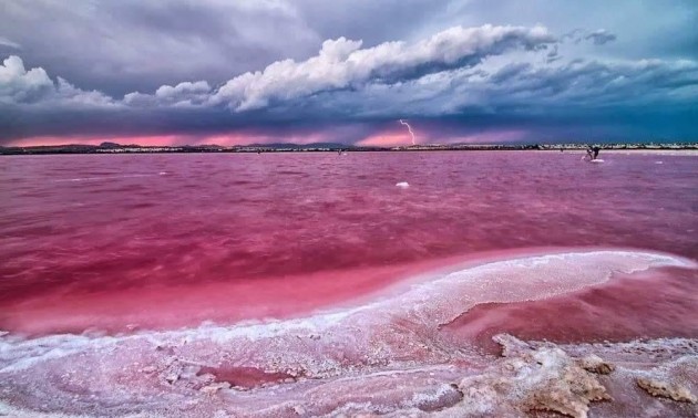 Nieuwbouw Woningen - Apartment - Torrevieja - Centro