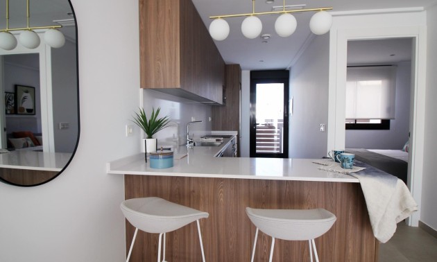 Nouvelle construction - Town House - Pilar de la Horadada - parque Andromeda