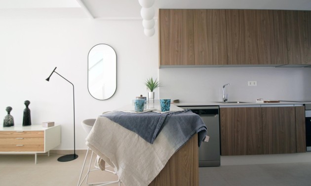 Nouvelle construction - Town House - Pilar de la Horadada - parque Andromeda