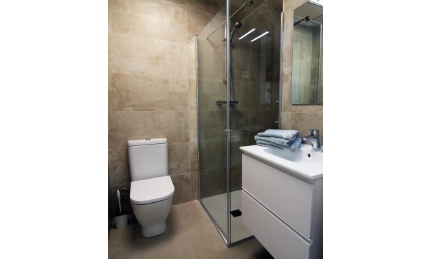 Nouvelle construction - Town House - Pilar de la Horadada - parque Andromeda