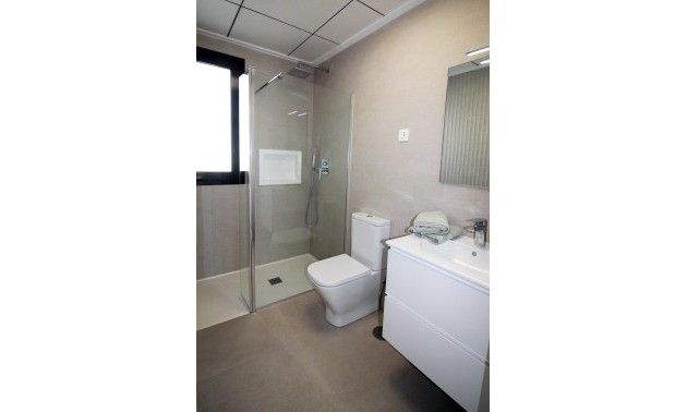 Nouvelle construction - Villa - Pilar de la Horadada - parque Andromeda