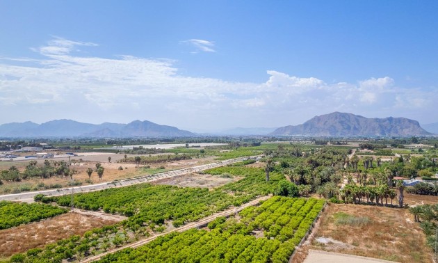 Nouvelle construction - Attique - Jacarilla - pueblo