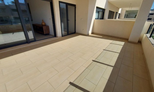 Nouvelle construction - Attique - San Miguel de Salinas - Pueblo