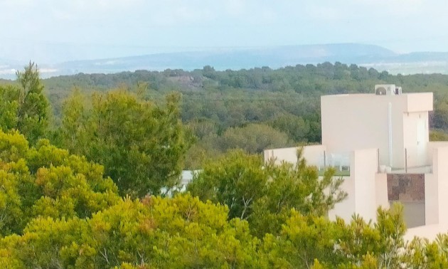 Nouvelle construction - Town House - Orihuela Costa - PAU 26