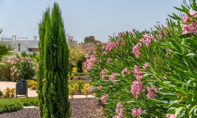 Nouvelle construction - Bungalow - Orihuela - Vistabella Golf