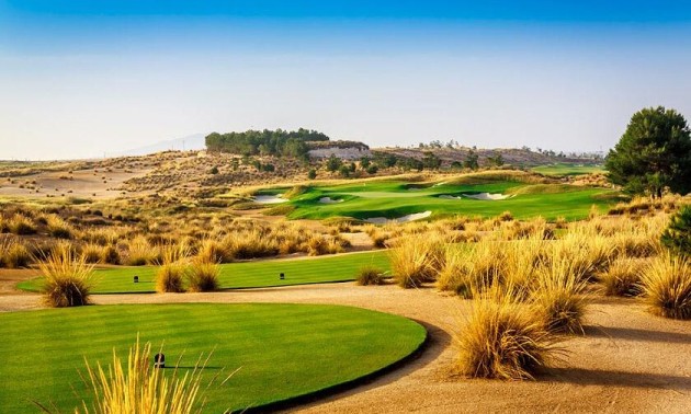 Nouvelle construction - Villa - Alhama de Murcia - Condado De Alhama