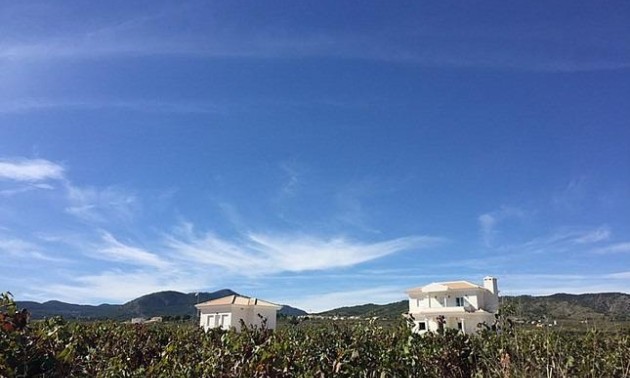 Nouvelle construction - Villa - Pinoso - Camino Del Prado