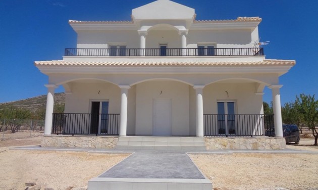 Nouvelle construction - Villa - Pinoso - Camino Del Prado