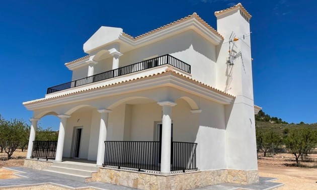 Nouvelle construction - Villa - Pinoso - Camino Del Prado
