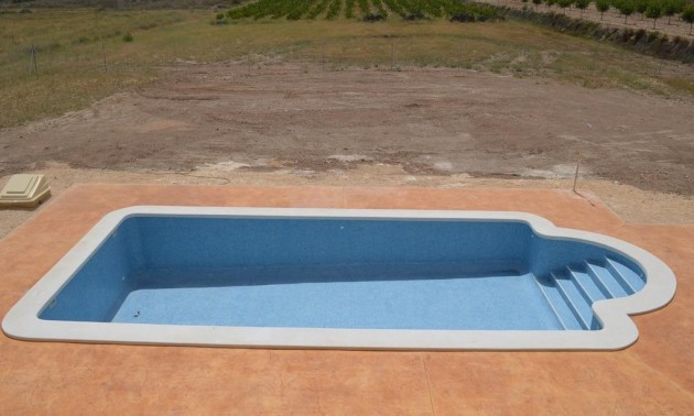 Nouvelle construction - Villa - Pinoso - Camino Del Prado