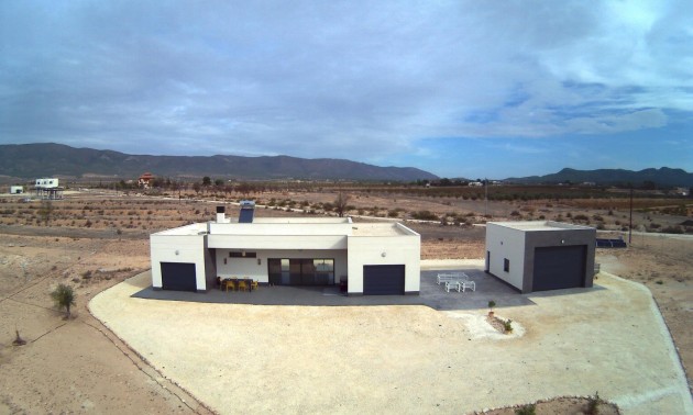 Nouvelle construction - Villa - Pinoso - Camino Del Prado