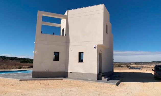 Nouvelle construction - Villa - Pinoso - Camino Del Prado