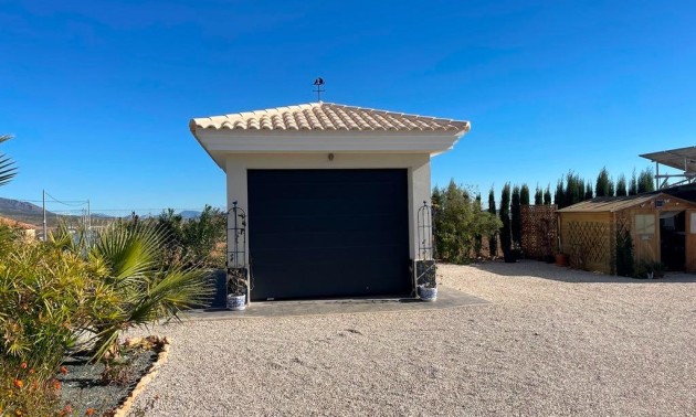 New Build - Villa - Pinoso - Camino Del Prado