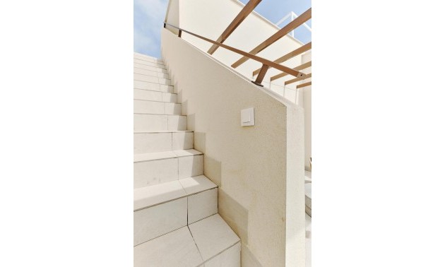 New Build - Bungalow - Torrevieja - Villa Amalia