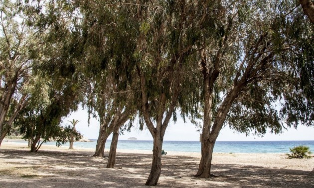 Nieuwbouw Woningen - Apartment - Villajoyosa - Playa Les Torres