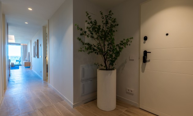 New Build - Penthouse - Guardamar del Segura