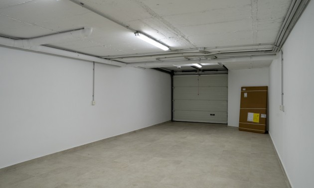 Nouvelle construction - detached - La Nucía
