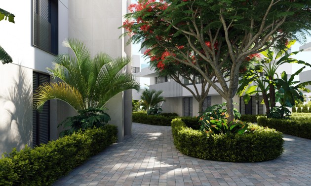 Nieuwbouw Woningen - Apartment - Santa Rosalía