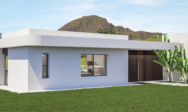 Nieuwbouw Woningen - Villa - Pinoso - Lel