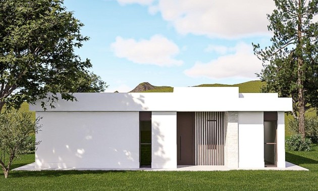 Nouvelle construction - Villa - Pinoso - Lel
