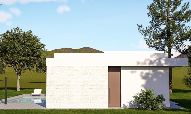 Nieuwbouw Woningen - Villa - Pinoso - Lel
