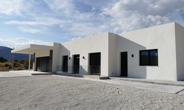 Nouvelle construction - Villa - Pinoso - Casas Pastor