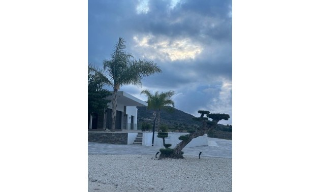Nouvelle construction - Villa - Pinoso - Casas Pastor