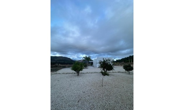 Nouvelle construction - Villa - Pinoso - Casas Pastor