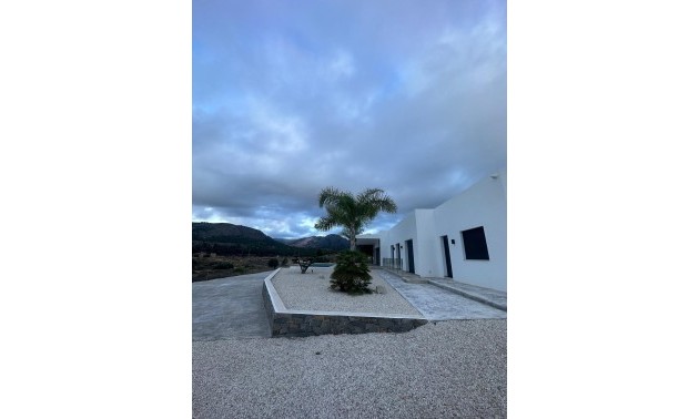 Nouvelle construction - Villa - Pinoso - Casas Pastor