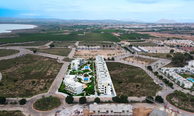 Nouvelle construction - ground-floor - Guardamar del Segura