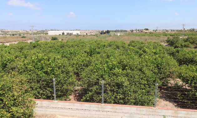 Herverkoop - Country House - Algorfa