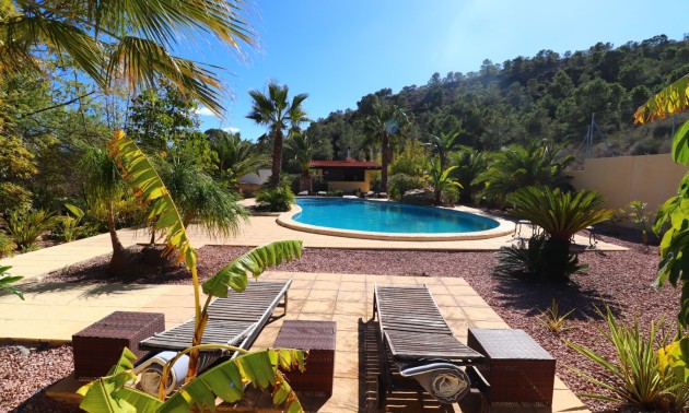 Resale - Country House - Aspe - Aspe - Country