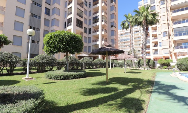 Herverkoop - Apartment - Guardamar del Segura - Guardamar del Segura - Town