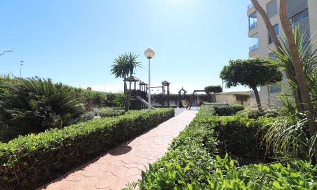 Herverkoop - Apartment - Guardamar del Segura - Guardamar del Segura - Town