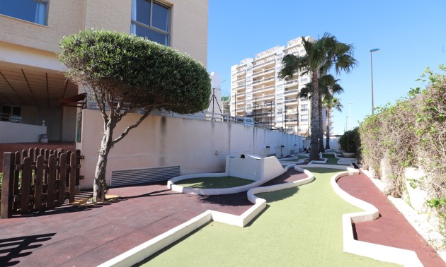 Herverkoop - Apartment - Guardamar del Segura - Guardamar del Segura - Town