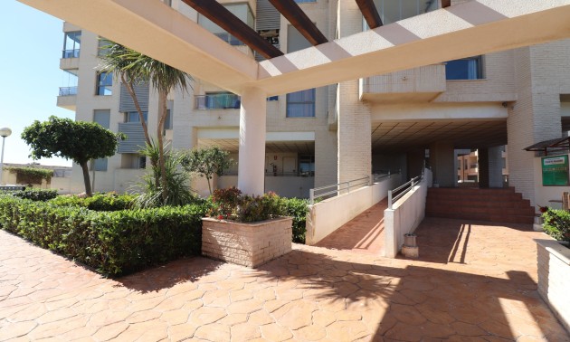 Herverkoop - Apartment - Guardamar del Segura - Guardamar del Segura - Town