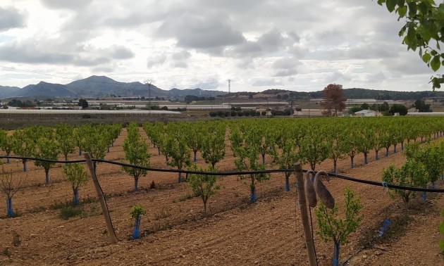 Revente - Villa - Monforte del Cid