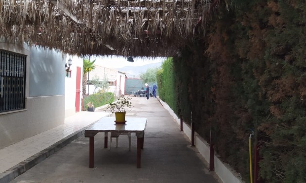 Revente - Villa - Monforte del Cid