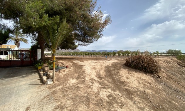 Revente - Villa - Monforte del Cid