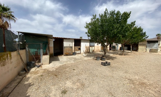 Revente - Villa - Monforte del Cid